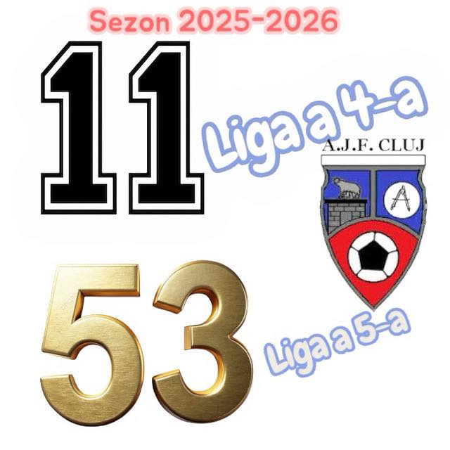 Liga a 4-a Academy