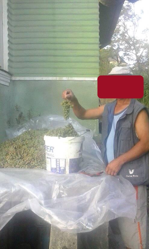 42059421_239478703589578_8165406868978532352_n