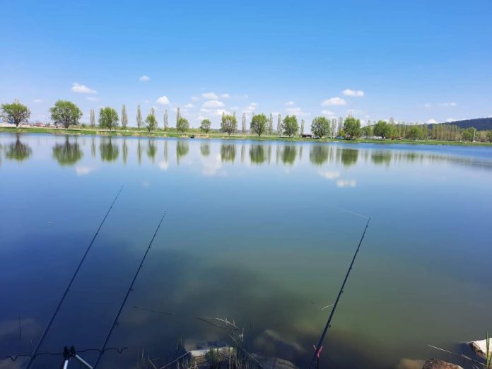 FB_IMG_1651382828630