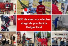 Peste 200 de elevi din 20 de instituții de învățământ vor efectua stagii de practică în cadrul companiei Delgaz Grid