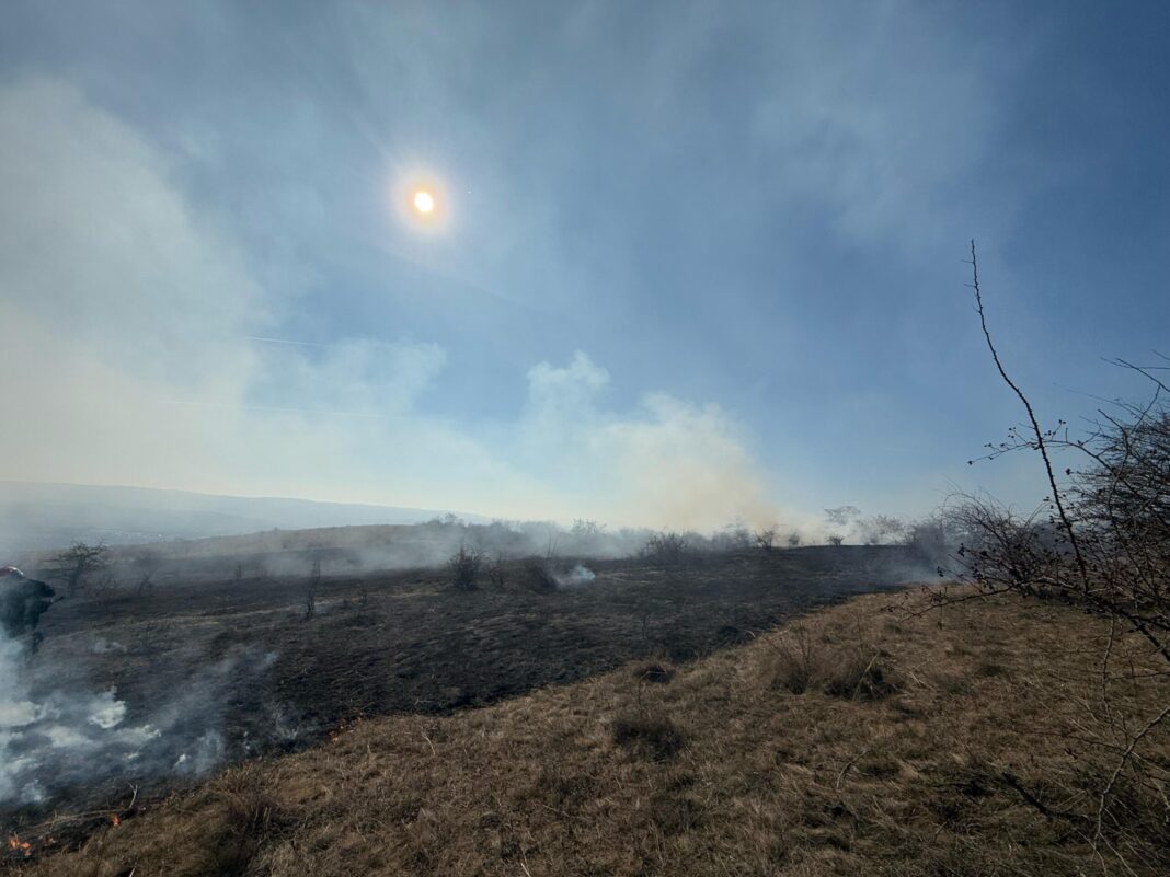 AMENZI URIAȘE ȘI DOSARE PENALE! POLIȚIA CLUJ DECLARĂ RĂZBOI ARDERILOR DE VEGETAȚIE AMENZI URIAȘE ȘI DOSARE PENALE! POLIȚIA CLUJ DECLARĂ RĂZBOI ARDERILOR DE VEGETAȚIE