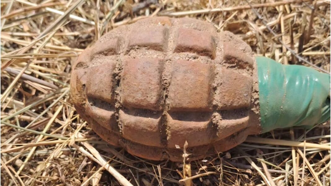 Grenadă din al doilea război mondial, găsită la Moldovenești Grenadă din al doilea război mondial, găsită la Moldovenești