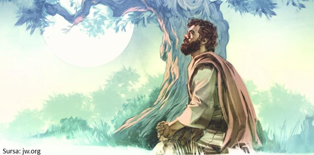 O campanie mondială transmite un mesaj de speranță O campanie mondială transmite un mesaj de speranță